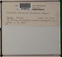 Image Associated With the Occurence